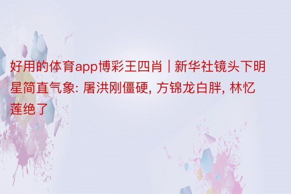 好用的体育app博彩王四肖 | 新华社镜头下明星简直气象: 屠洪刚僵硬, 方锦龙白胖, 林忆莲绝了